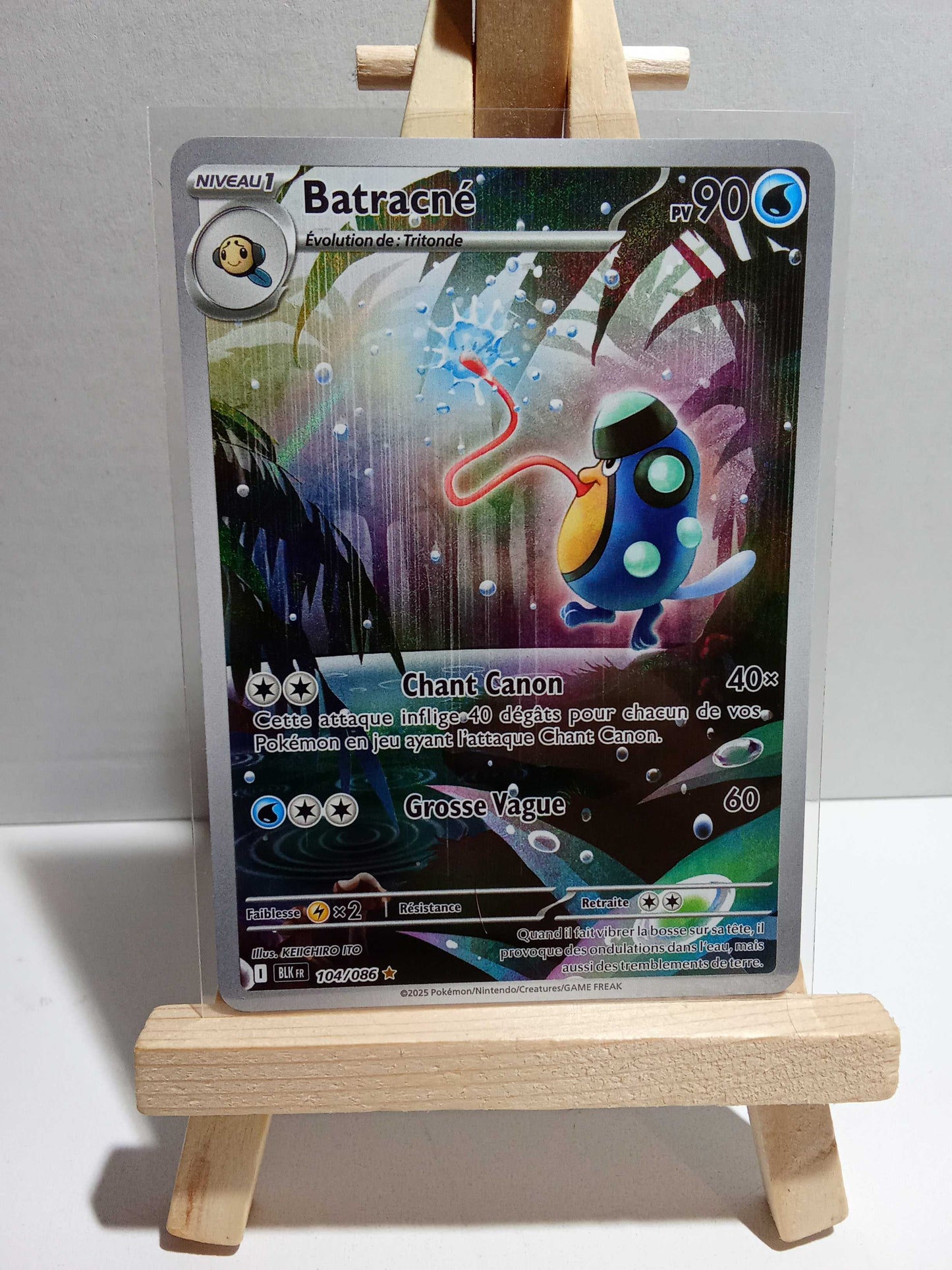 Batracné Foudre Noire AR 104/086