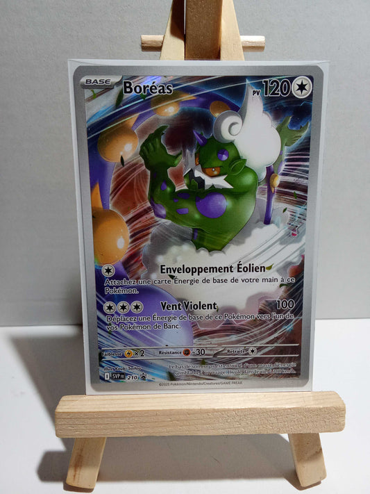 Boréas SVP Promo 210