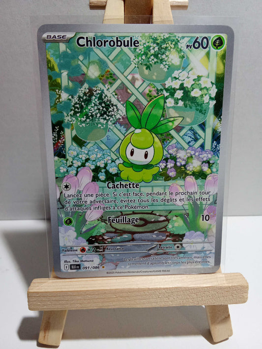 Chlorobule Foudre Noire AR 091/086