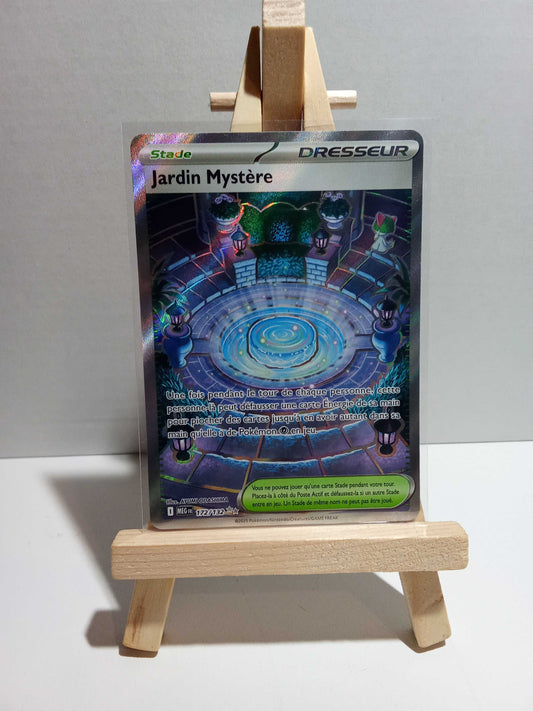 Jardin Mystère Méga évolution FA 172/132